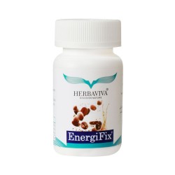 Energi Fix