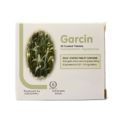 Garcin 300 mg