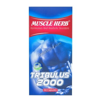 Muscle Herb