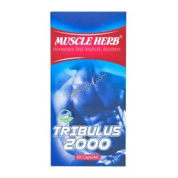 Muscle Herb