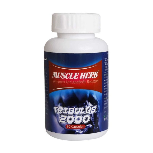 Muscle Herb