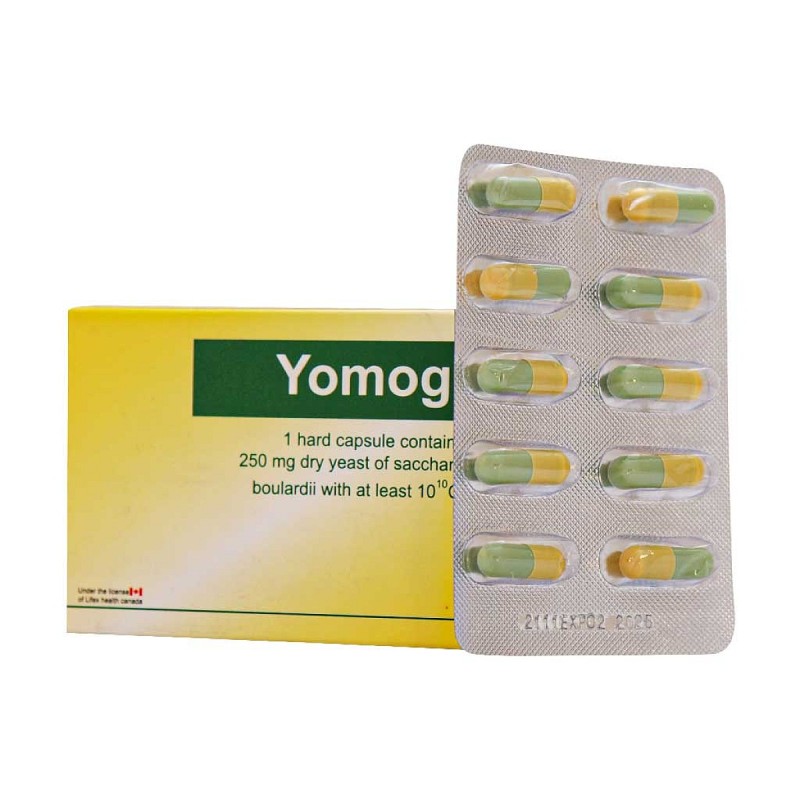 Yomogi