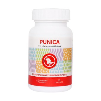 Punica